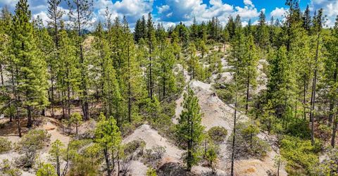 13751 Sailor Flat Rd, Nevada City, CA 95959 Photo
