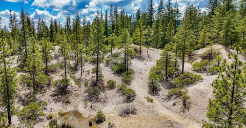 13751 Sailor Flat Rd, Nevada City, CA 95959 Photo