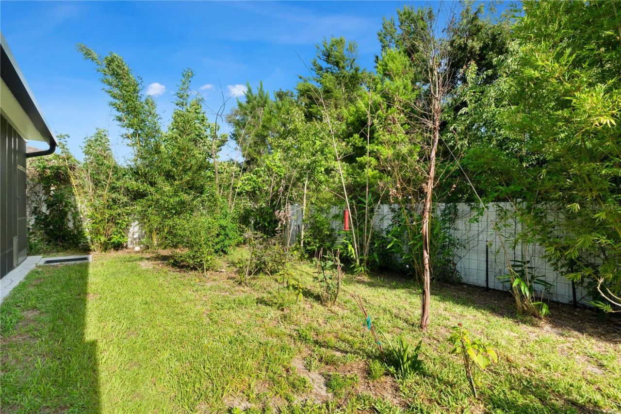 3763 Autumn Amber Drive, Spring Hill, FL 34609 Photo