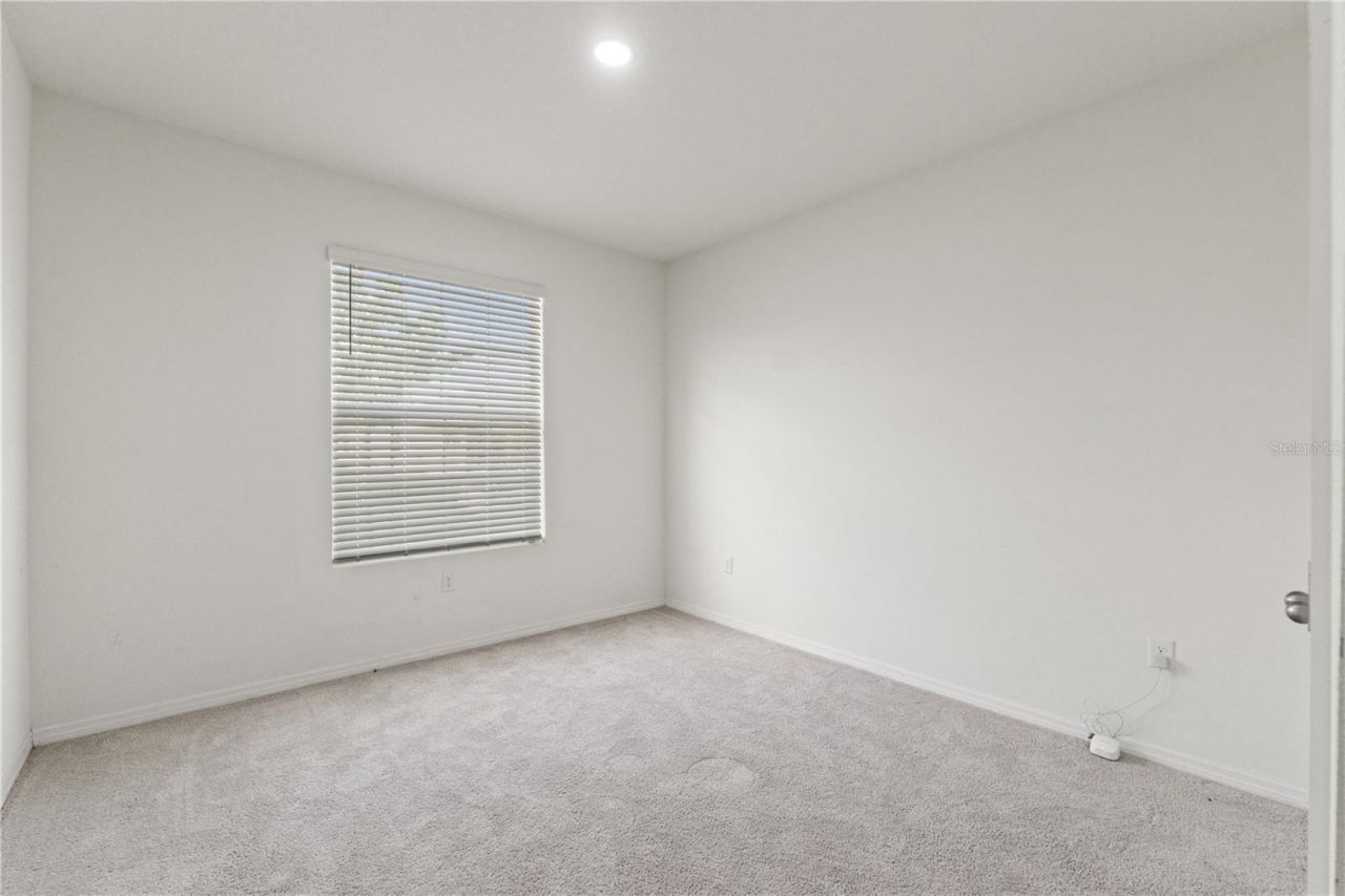 3763 Autumn Amber Drive, Spring Hill, FL 34609 Photo