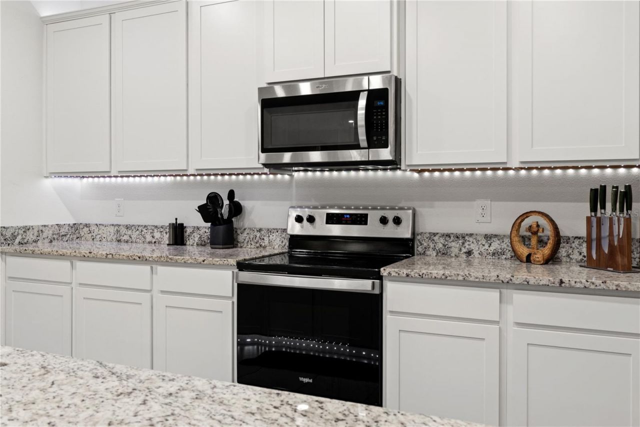 3763 Autumn Amber Drive, Spring Hill, FL 34609 Photo