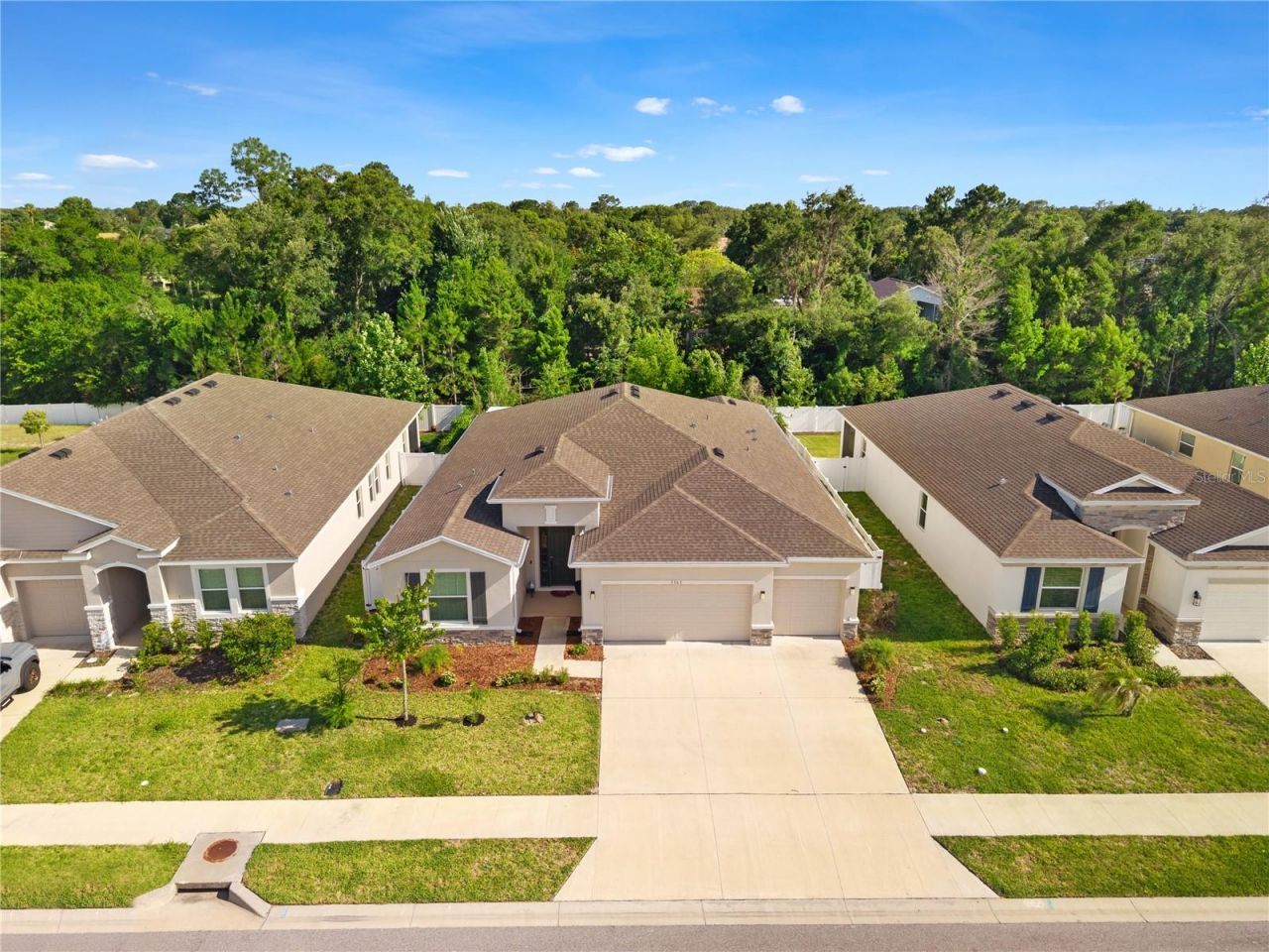 3763 Autumn Amber Drive, Spring Hill, FL 34609 Photo