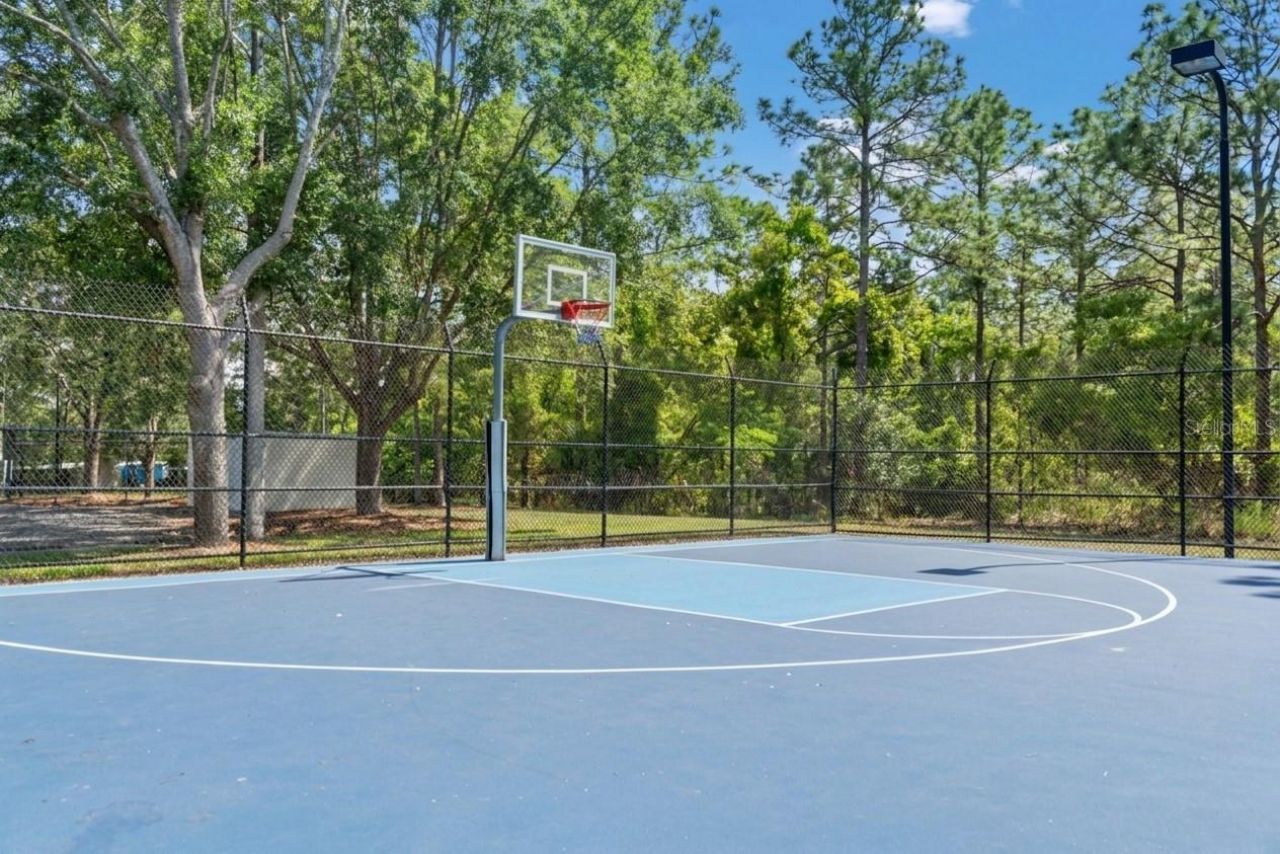 3763 Autumn Amber Drive, Spring Hill, FL 34609 Photo