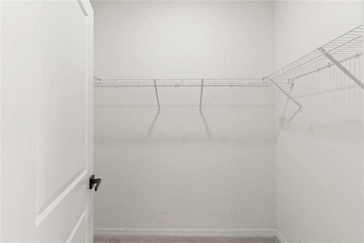 3763 Autumn Amber Drive, Spring Hill, FL 34609 Photo