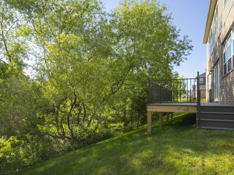 Property Image 43