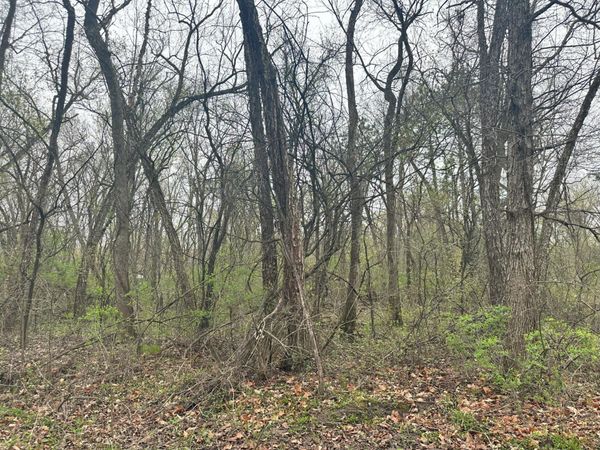 Lot 0 Catfish Drive , Trempealeau, WI 54661