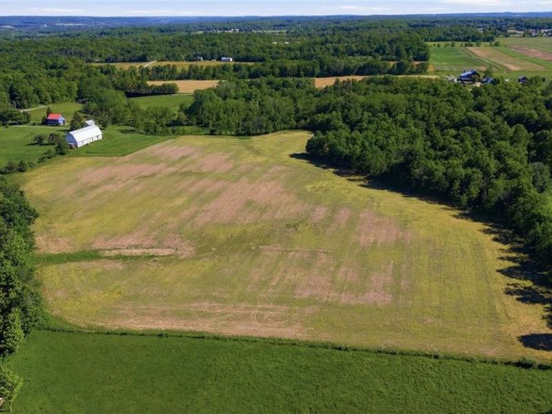 0 Twp Rd 251 , Polk, OH 44866 Photo 13
