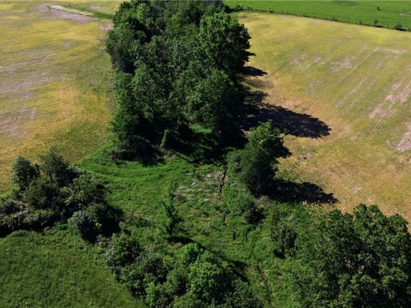 0 Twp Rd 251 , Polk, OH 44866 Photo 14