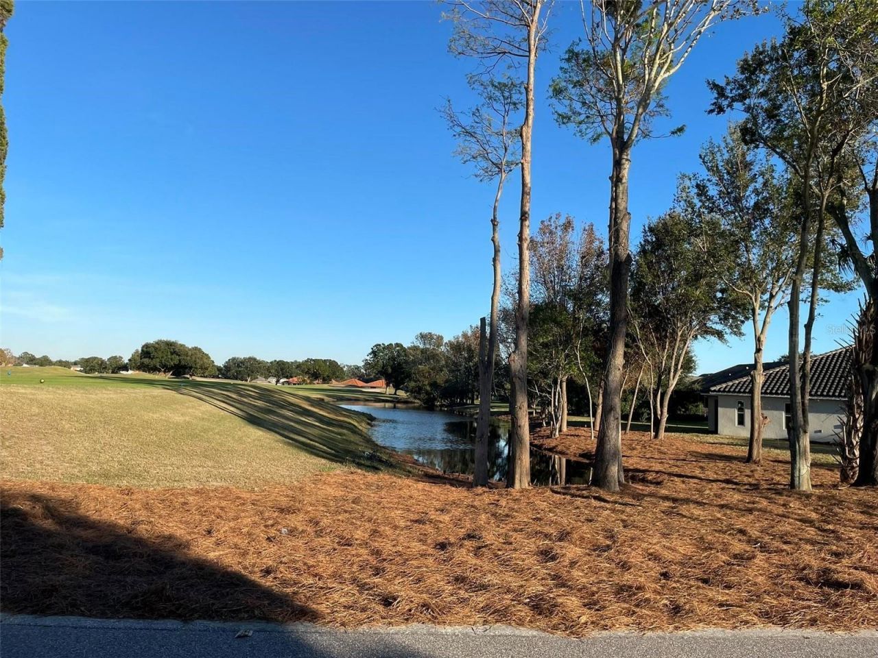17708 Sawgrass Run , Deer Island, FL 32778 Photo