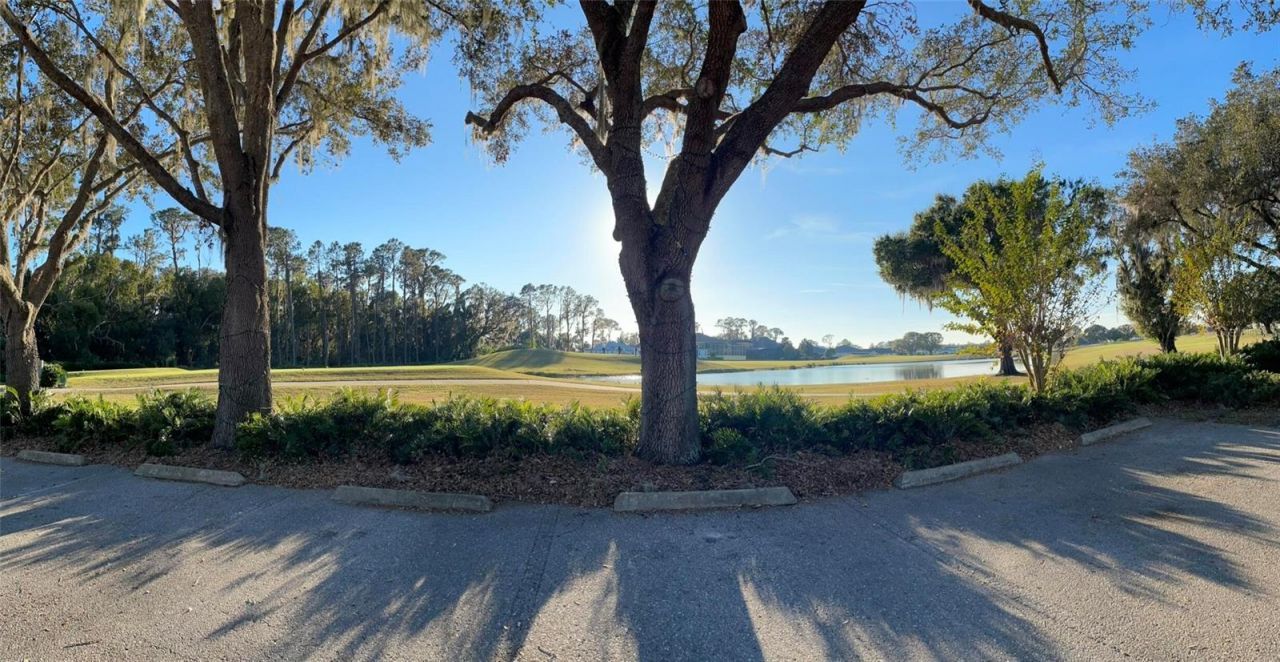 17708 Sawgrass Run , Deer Island, FL 32778 Photo