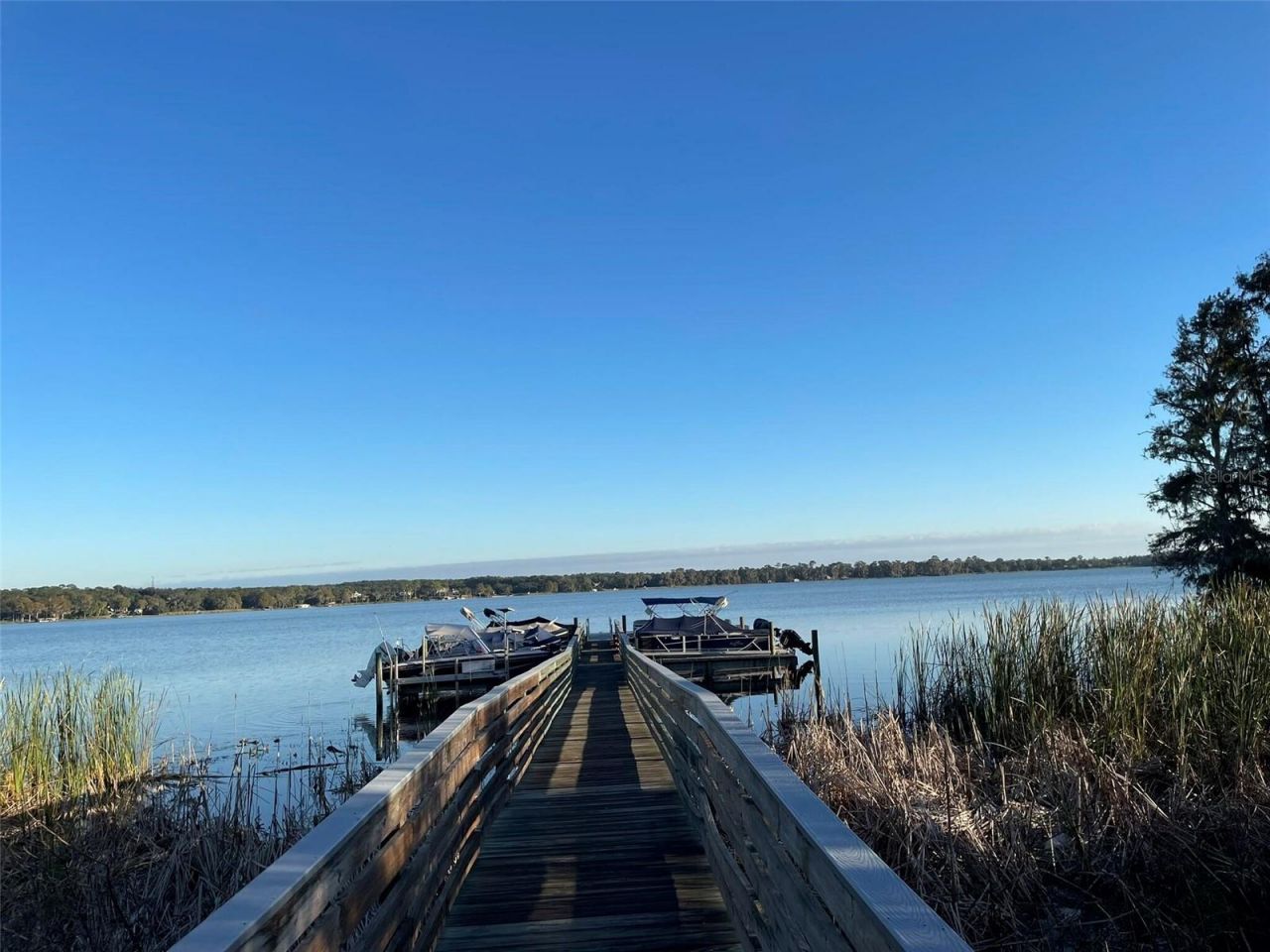 17708 Sawgrass Run , Deer Island, FL 32778 Photo