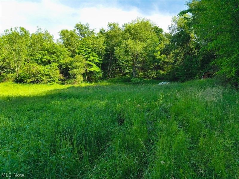 1028 Arbor Road NE, Minerva, OH 44657 Photo 7