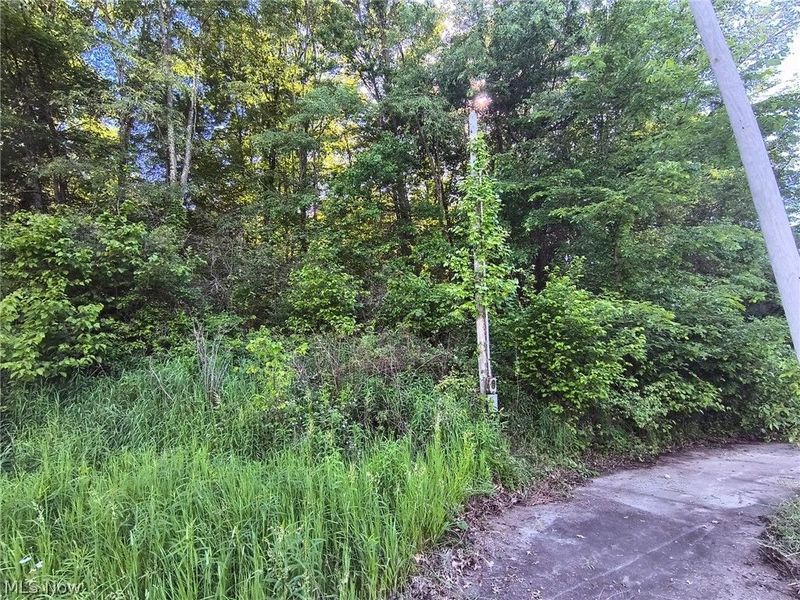 1028 Arbor Road NE, Minerva, OH 44657 Photo 8