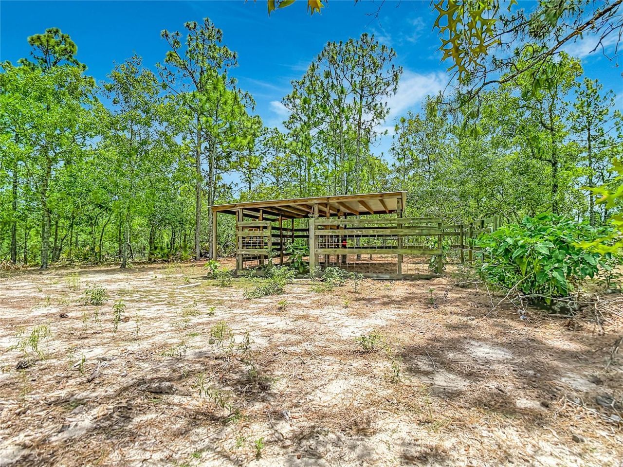 12126 Skimmer Avenue , Weeki Wachee, FL 34614 Photo