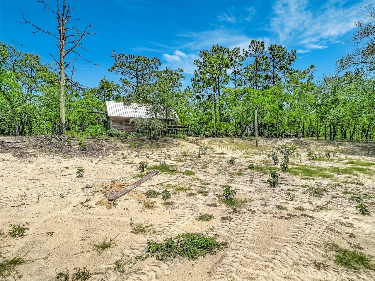 12126 Skimmer Avenue , Weeki Wachee, FL 34614 Photo
