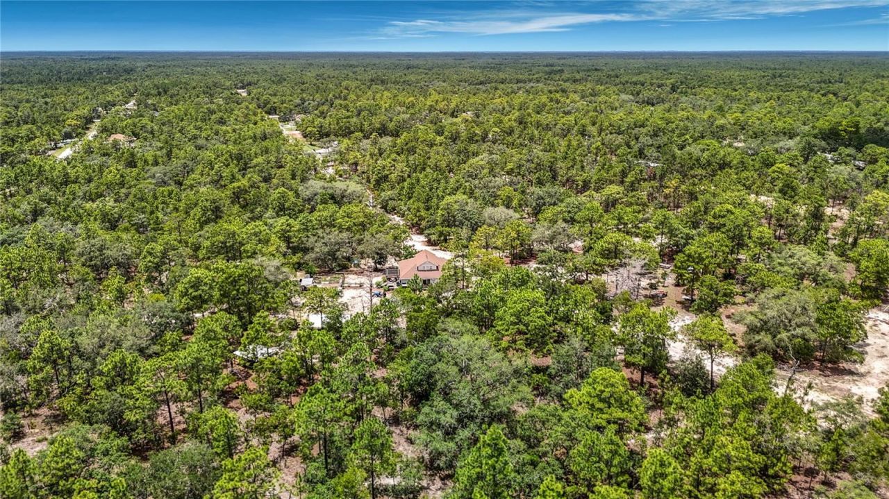 12126 Skimmer Avenue , Weeki Wachee, FL 34614 Photo