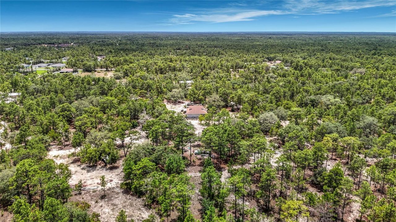 12126 Skimmer Avenue , Weeki Wachee, FL 34614 Photo