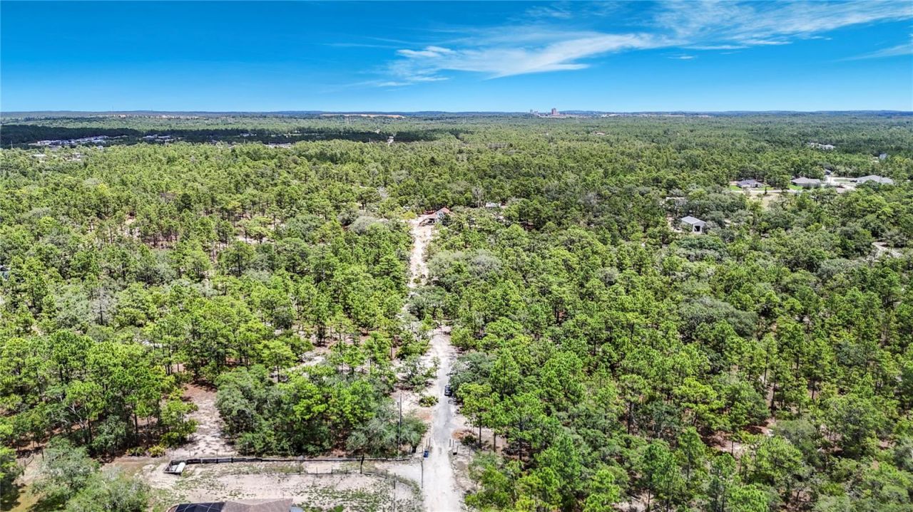 12126 Skimmer Avenue , Weeki Wachee, FL 34614 Photo
