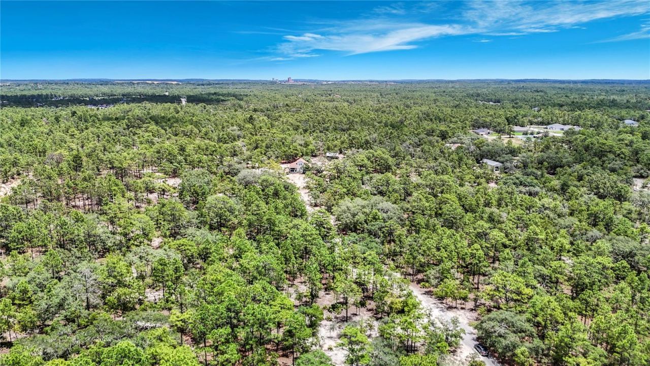 12126 Skimmer Avenue , Weeki Wachee, FL 34614 Photo