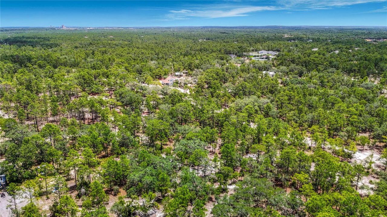 12126 Skimmer Avenue , Weeki Wachee, FL 34614 Photo