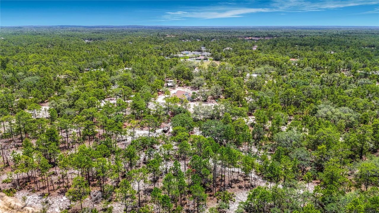 12126 Skimmer Avenue , Weeki Wachee, FL 34614 Photo