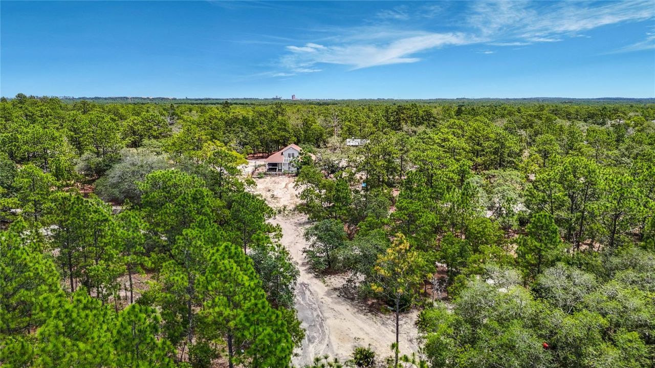12126 Skimmer Avenue , Weeki Wachee, FL 34614 Photo