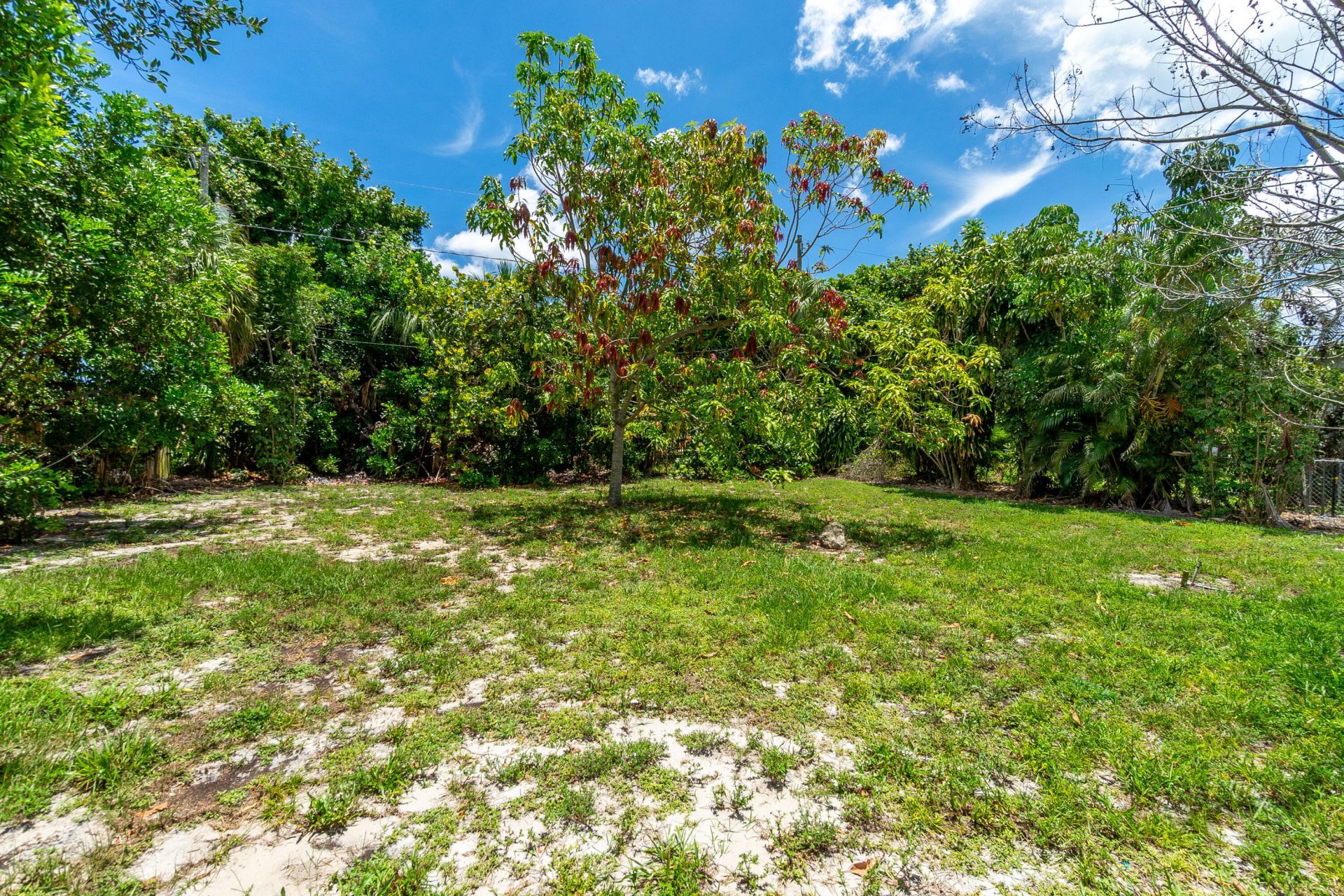 229 SW 4th Avenue, Delray Beach, FL 33444 Photo