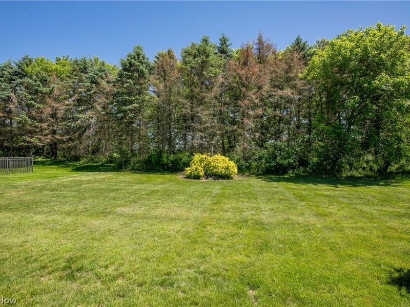 1424 Timbertop Drive , Tallmadge, OH 44278 Photo 34
