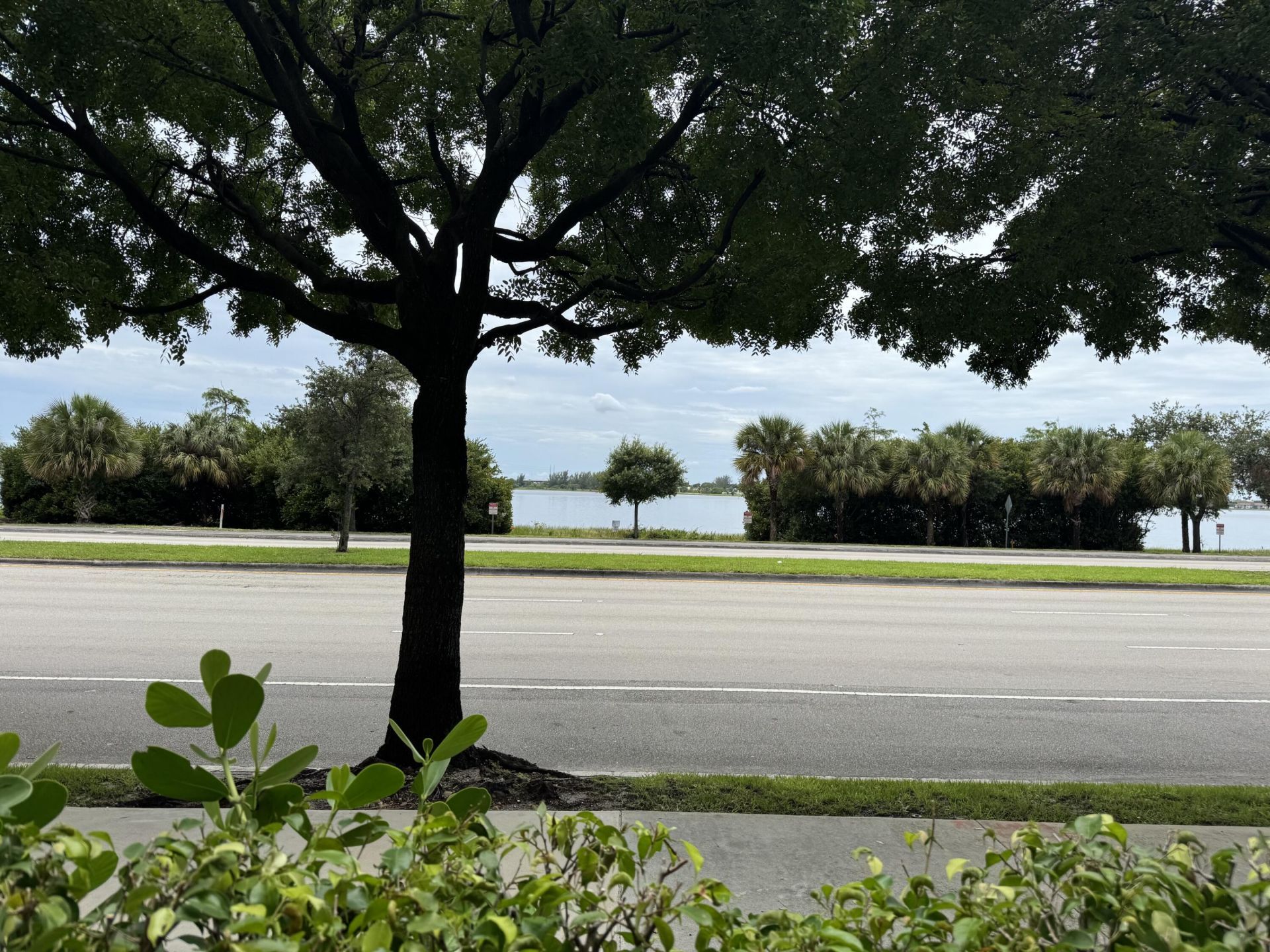 300 S Australian Avenue, Unit 111, West Palm Beach, FL 33401 Photo