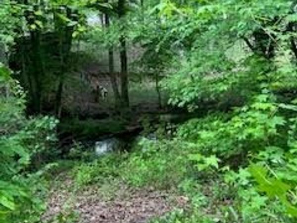 0 Log Cabin Rd Road , Cumming, GA 30028