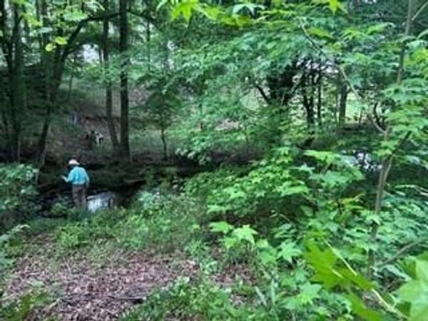 0 Log Cabin Rd Road, Cumming, GA 30028