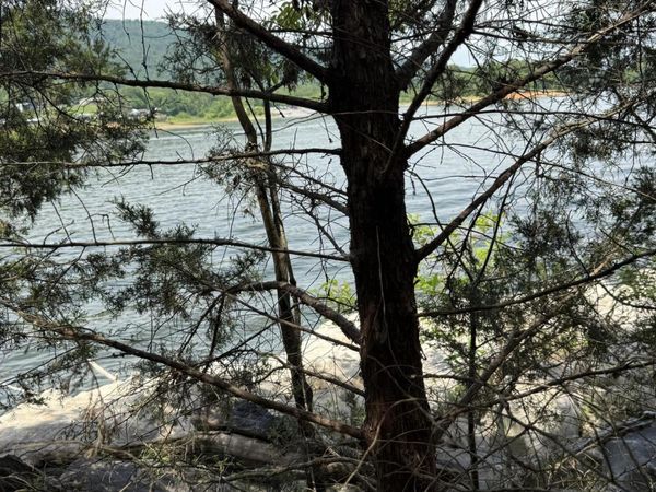 00 Walnut Bend Drive, Whitesburg, TN 37891