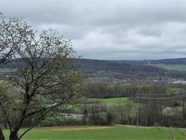 25 County Road 23, Hammondsport, NY 14840