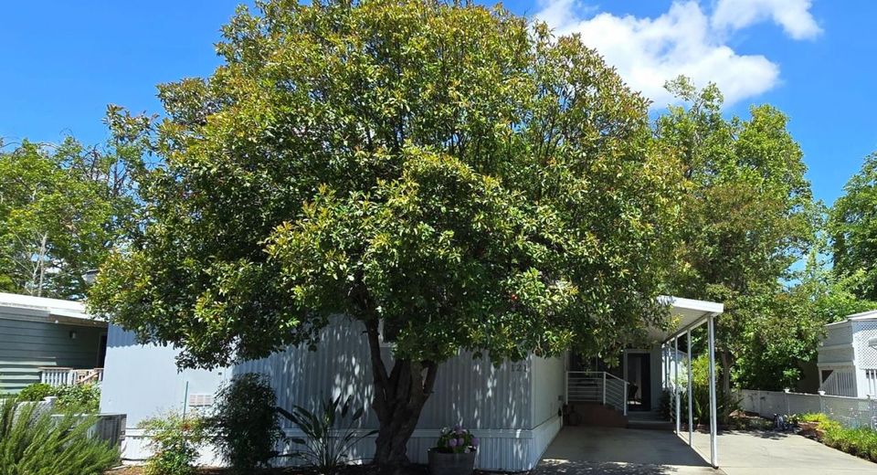 121 Full Cir, Davis, CA 95618 Photo