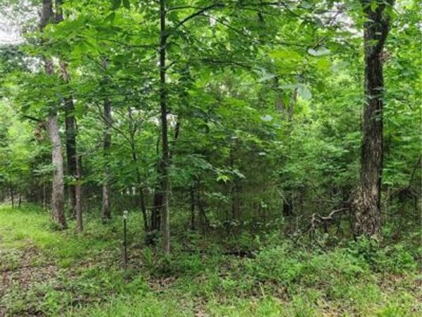 35 Mystic Valley Drive, Linn Valley, KS 66040