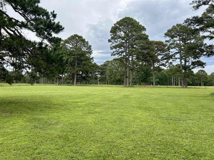 Property Image 60