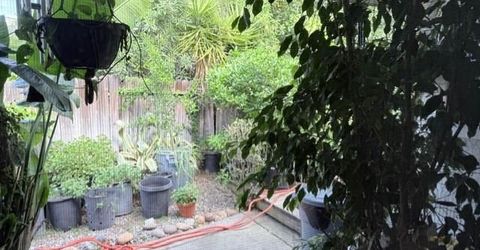 6838 Olive Tree Way, Citrus Heights, CA 95610 Photo