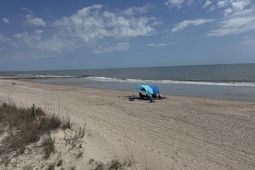 111 Palmetto Boulevard photo 4