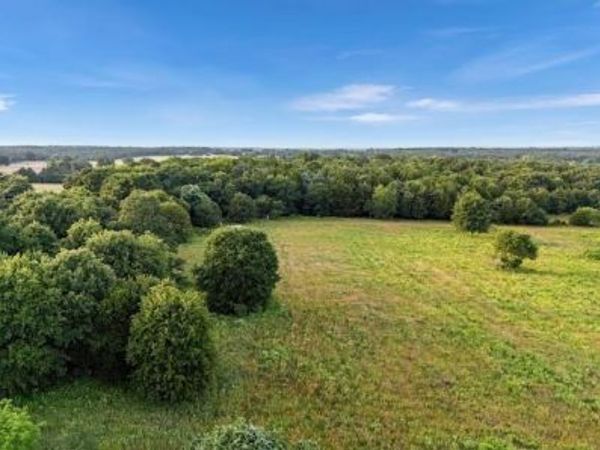 2151 County Road 113 , Whitesboro, TX 76273