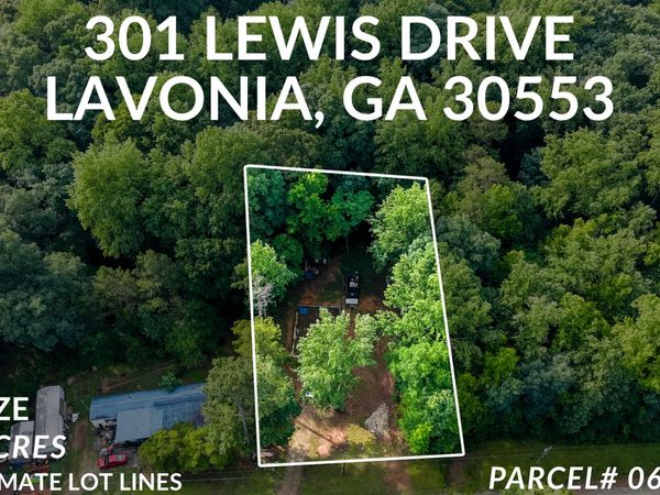 301 Lewis Drive, Lavonia, GA 30553