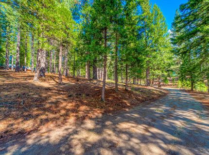 954 Red Fox Road, Clio, CA 96106 Photo