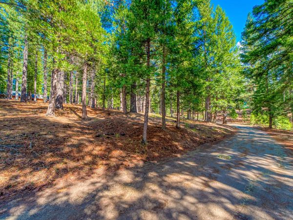 954 Red Fox Road, Clio, CA 96106