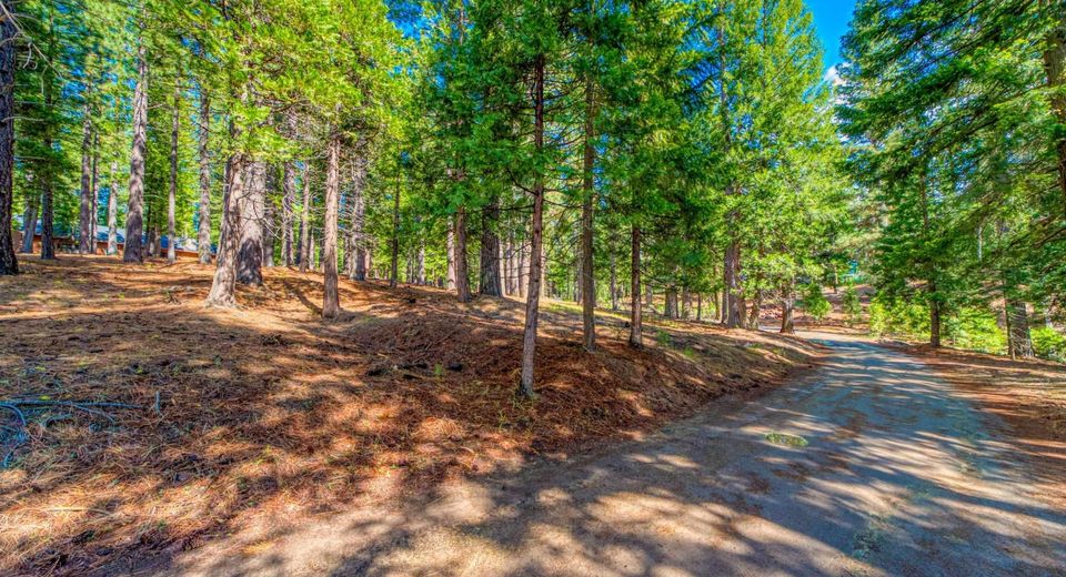 954 Red Fox Road, Clio, CA 96106 Photo