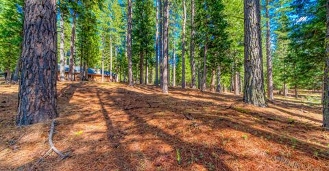 954 Red Fox Road, Clio, CA 96106 Photo