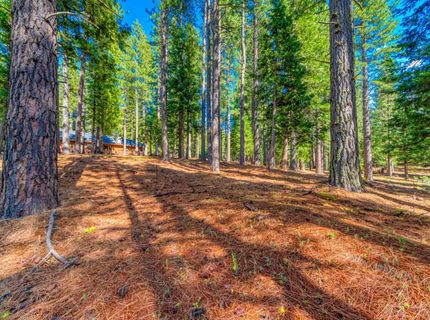 954 Red Fox Road, Clio, CA 96106 Photo