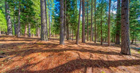 954 Red Fox Road, Clio, CA 96106 Photo