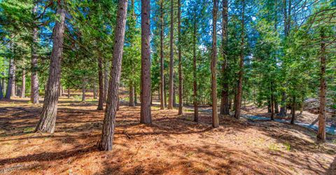 954 Red Fox Road, Clio, CA 96106 Photo