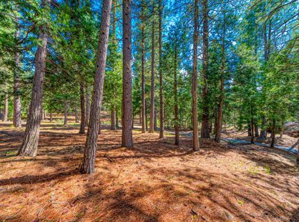 954 Red Fox Road, Clio, CA 96106 Photo