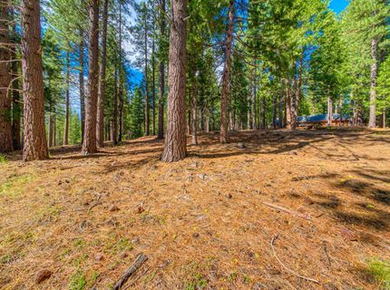 954 Red Fox Road, Clio, CA 96106 Photo