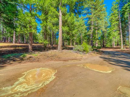 954 Red Fox Road, Clio, CA 96106 Photo
